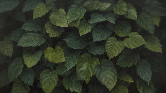 Deep Green Foliage Wall Mural