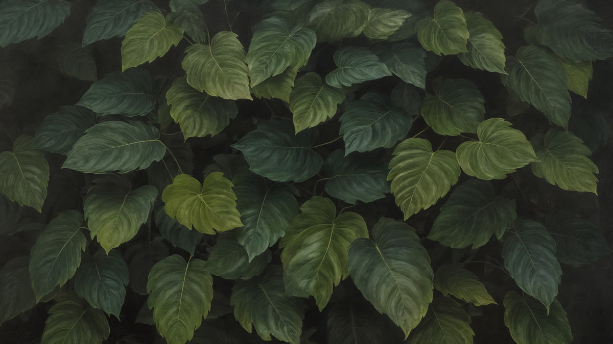Deep Green Foliage Wall Mural in your room — zoomed