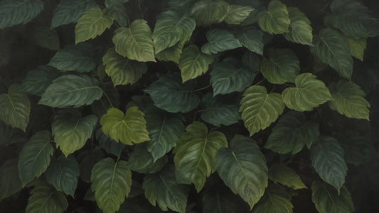 Deep Green Foliage Wall Mural