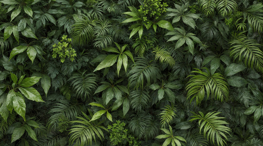 Forest Green Foliage Wall Mural
