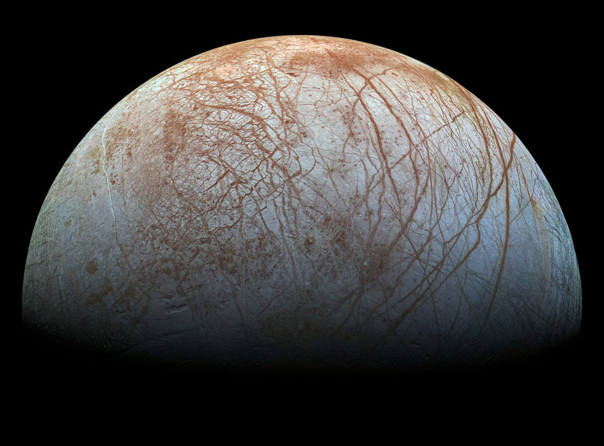 Europa: The Veined Moon Wall Mural in your room — zoomed