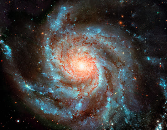 Galactic Dream Wall Mural