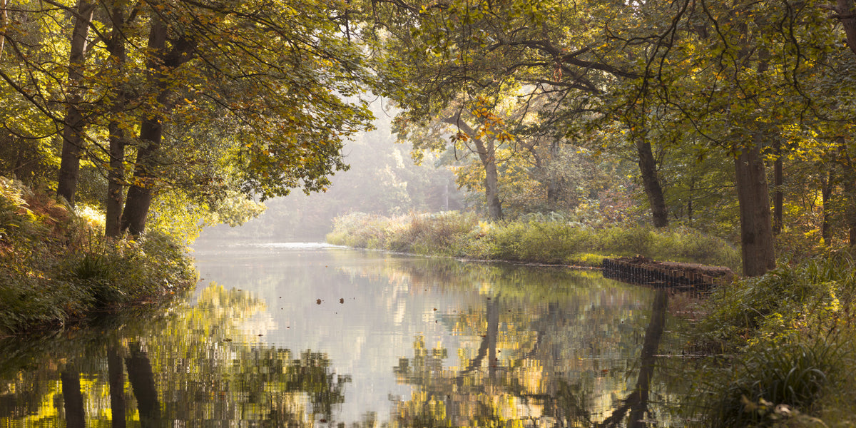 Autumnal Waters Wall Mural in your room — zoomed
