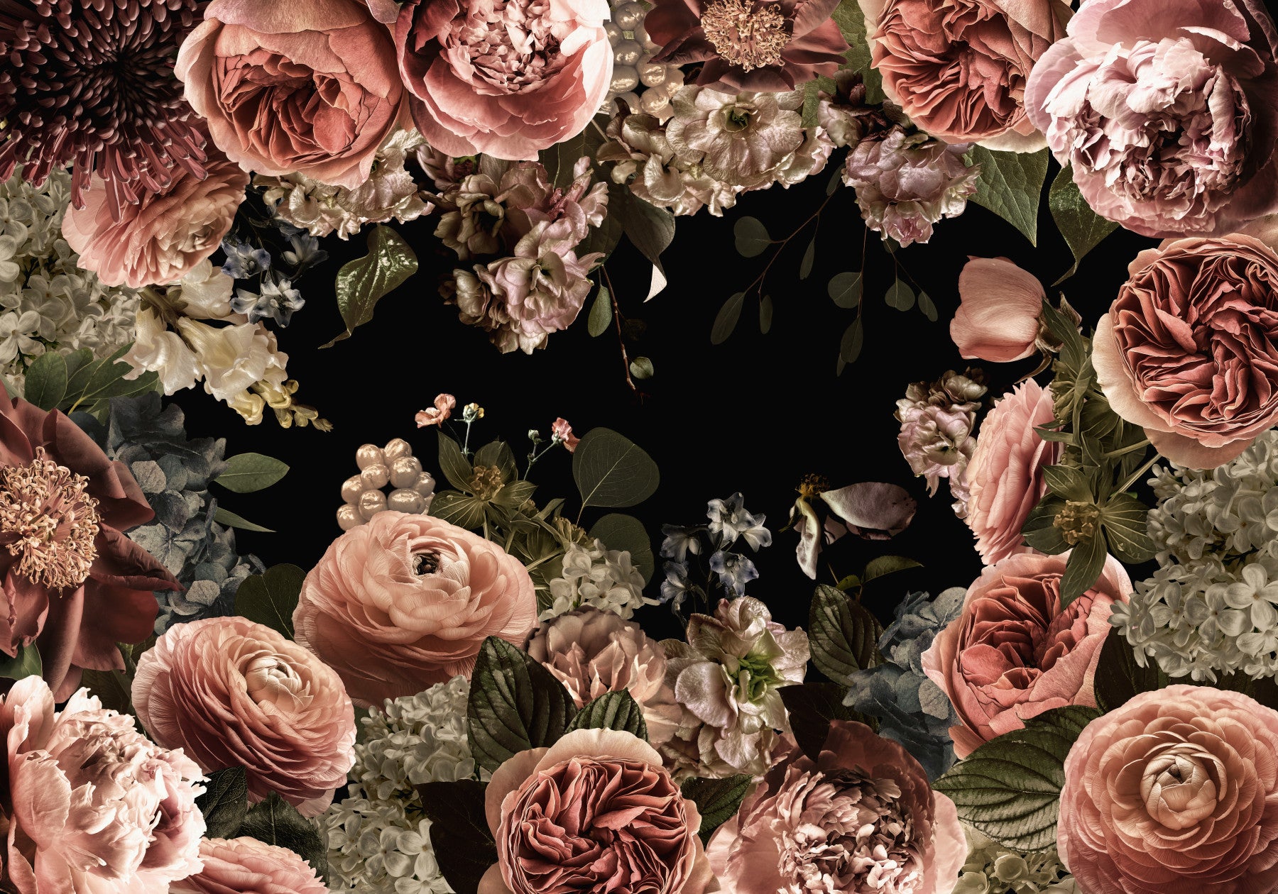 Midnight Roses Dark Garden Wall Mural
