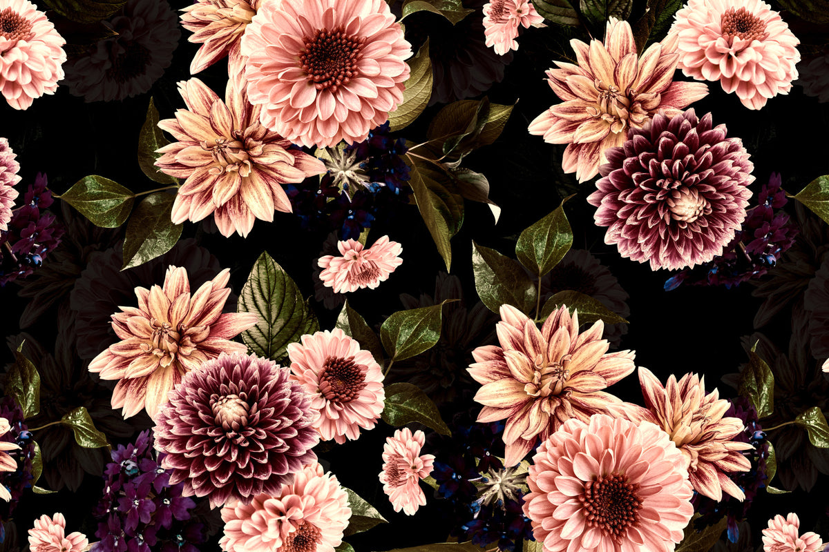 Vintage Flowering Dahlia Night Garden Wall Mural in your room — zoomed