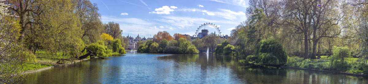 St James Park Wall Mural in your room