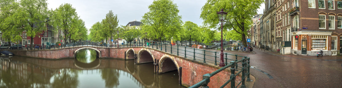 Dutch Cityscape Charm Wall Mural in your room — zoomed