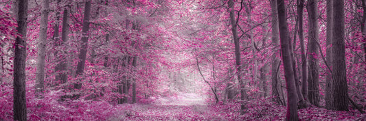 Pink Forest Pathway Wall Mural