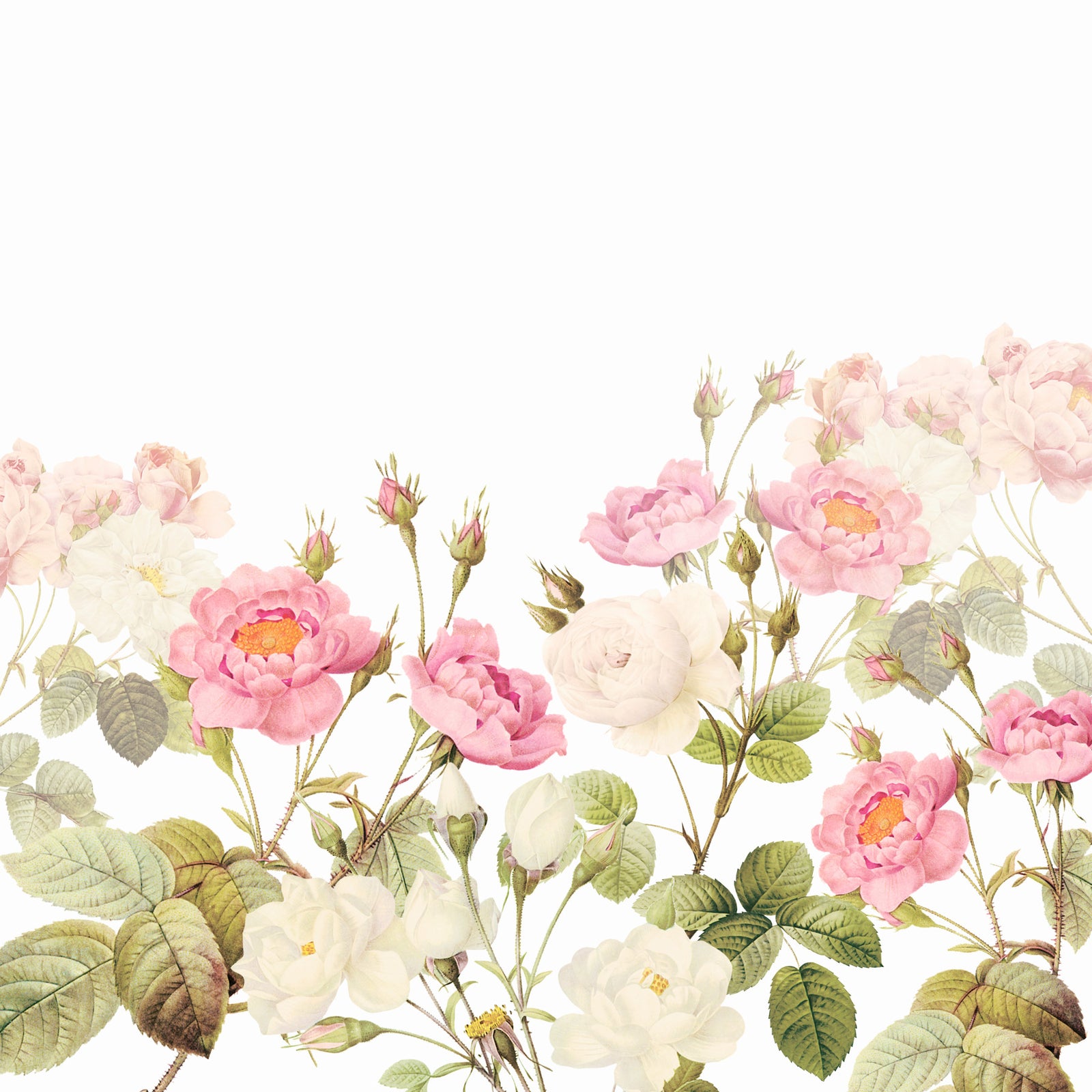 Vintage Blush Rose Garden Wall Mural