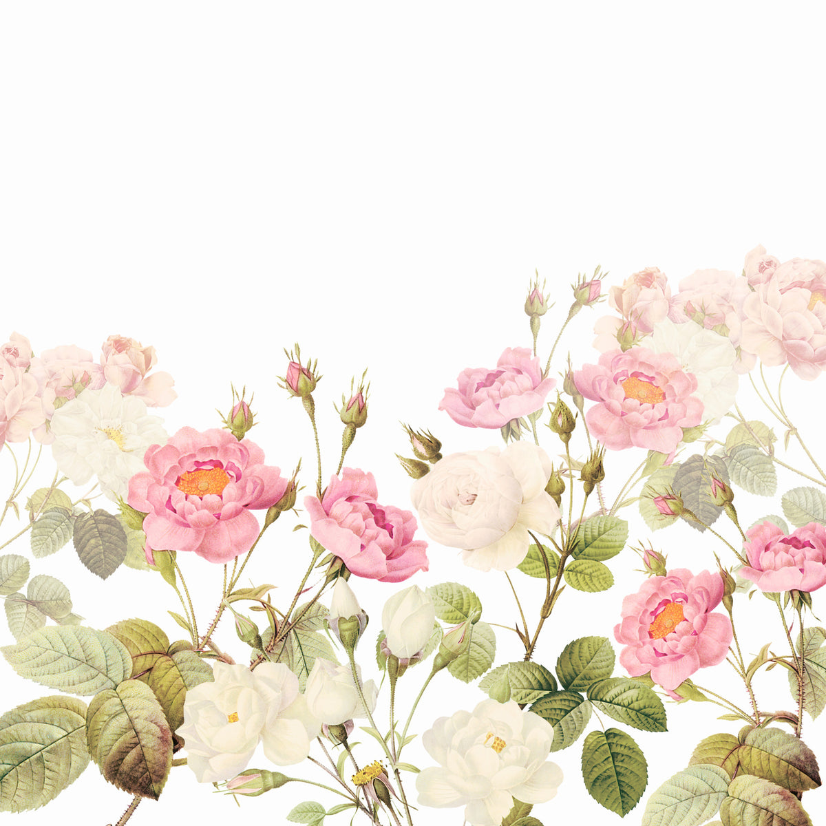 Vintage Blush Rose Garden Wall Mural in your room — zoomed