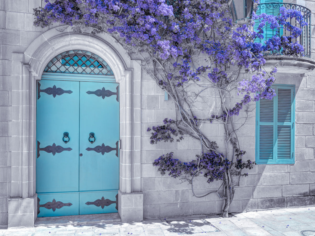 Maltese House Wall Mural in your room — zoomed