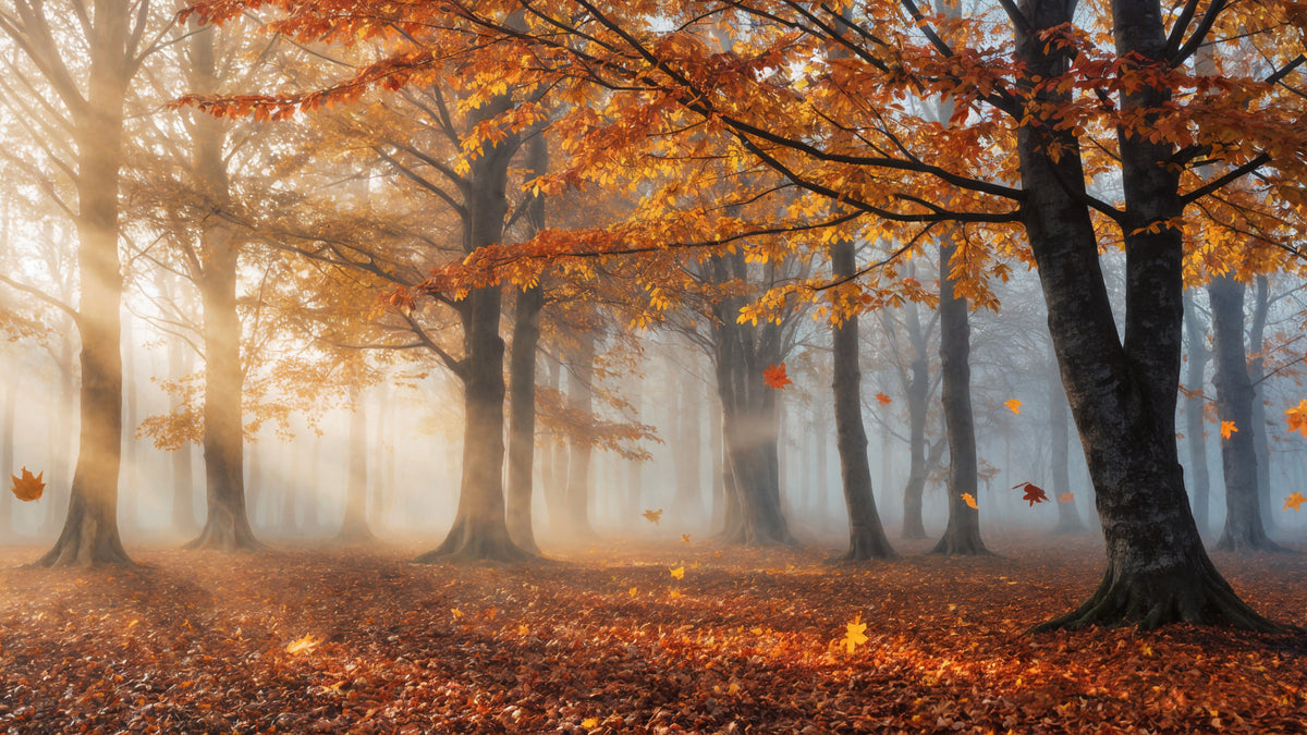 Autumnal Whispers Wall Mural in your room — zoomed