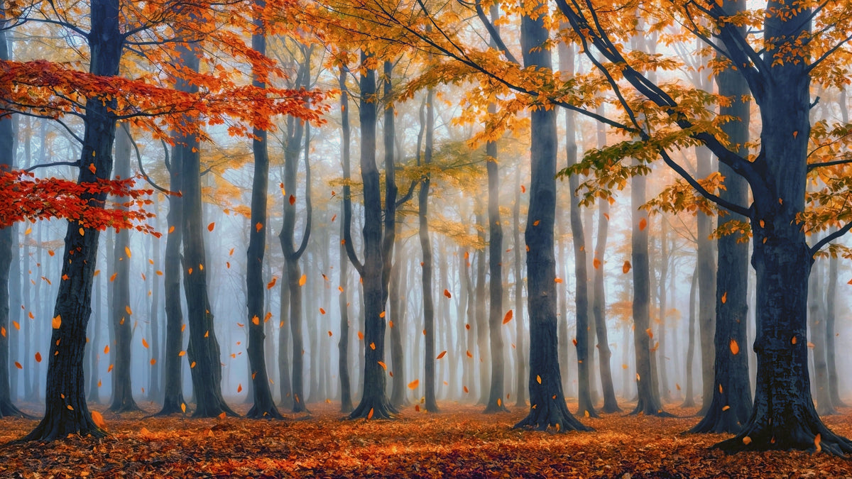 Golden Forest Serenity Wall Mural in your room — zoomed