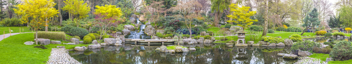 Kyoto Garden Wall Mural in your room — zoomed