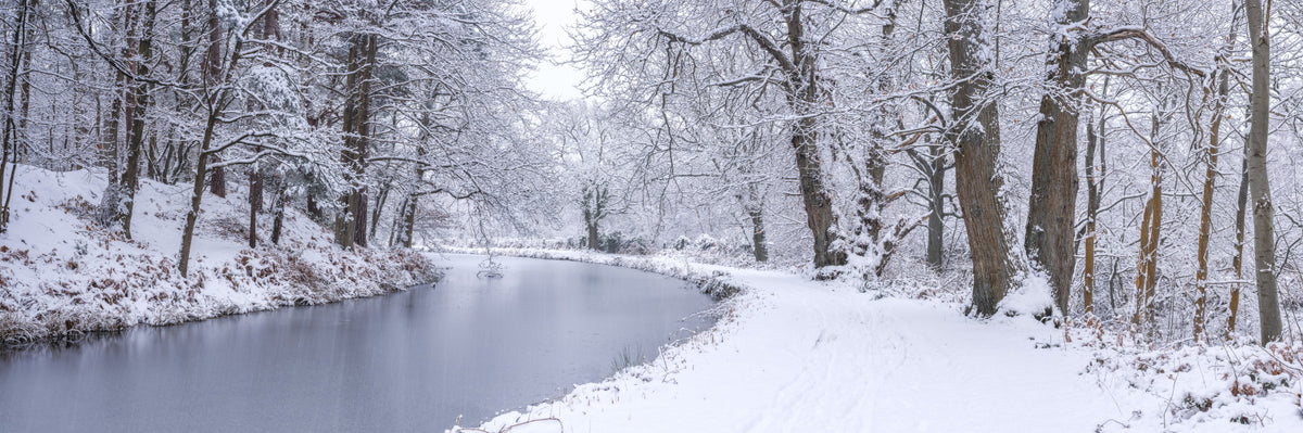 Snowy Canal Dream Wall Mural in your room