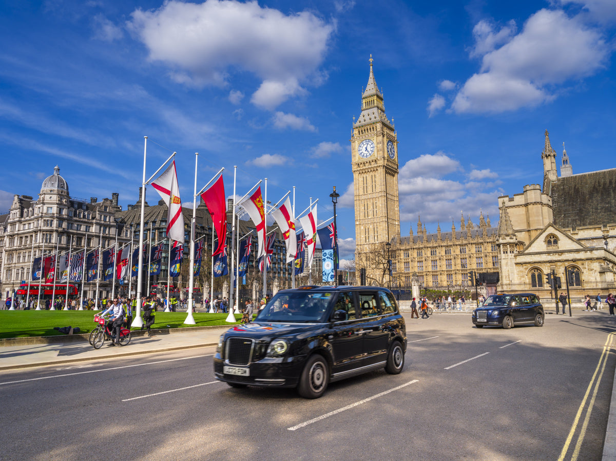 Westminster View Wall Mural in your room