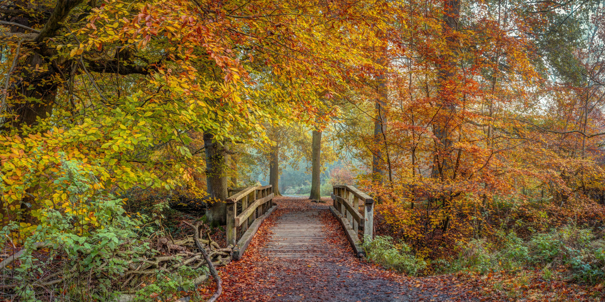 Bridging Seasons Wall Mural in your room
