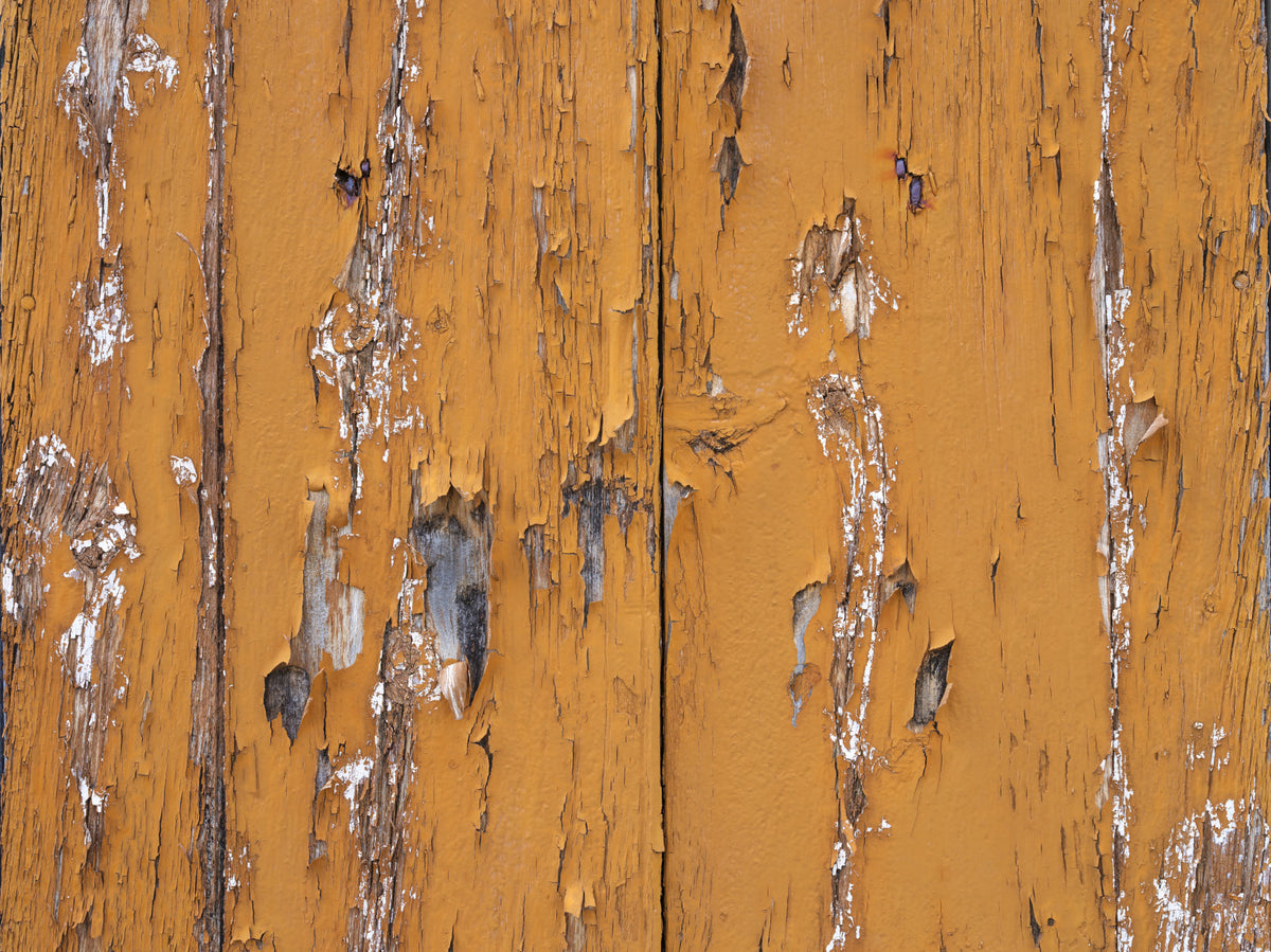 Rustic Orange Texture Wall Mural in your room