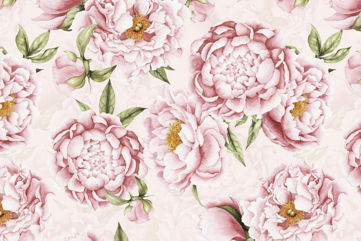 Peony Blush Blooms Garden Wall Mural in your room — zoomed