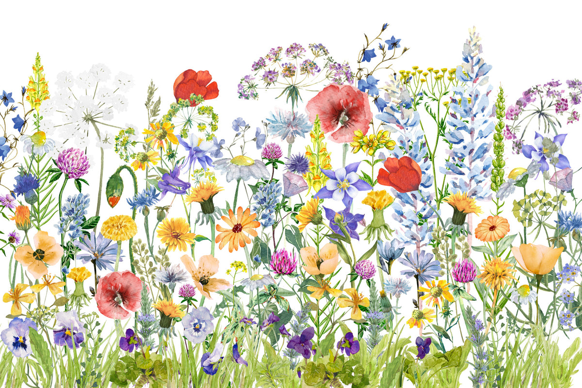 Scandinavian Watercolor Meadow Poppies with Colorful Wildflowers Wall Mural in your room — zoomed