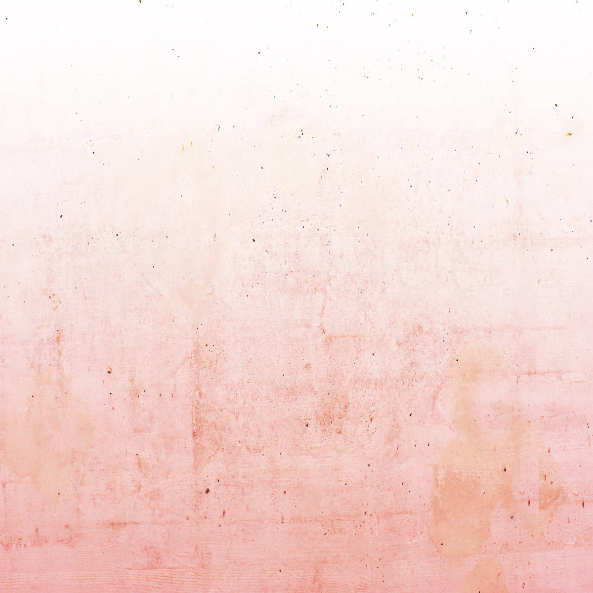 Pink Ombre on Concrete Wall Mural