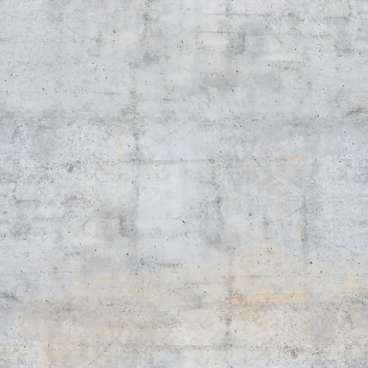 Raw Concrete Texture Wall Mural