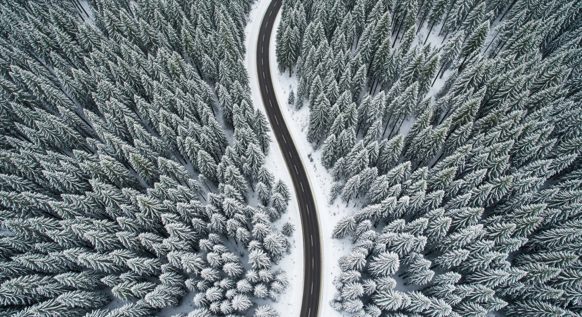 Winter Road Wall Mural in your room — zoomed