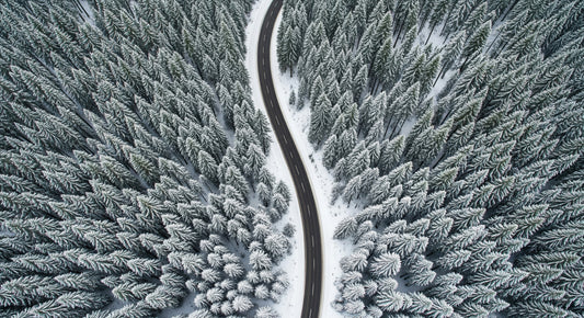 Winter Road Wall Mural