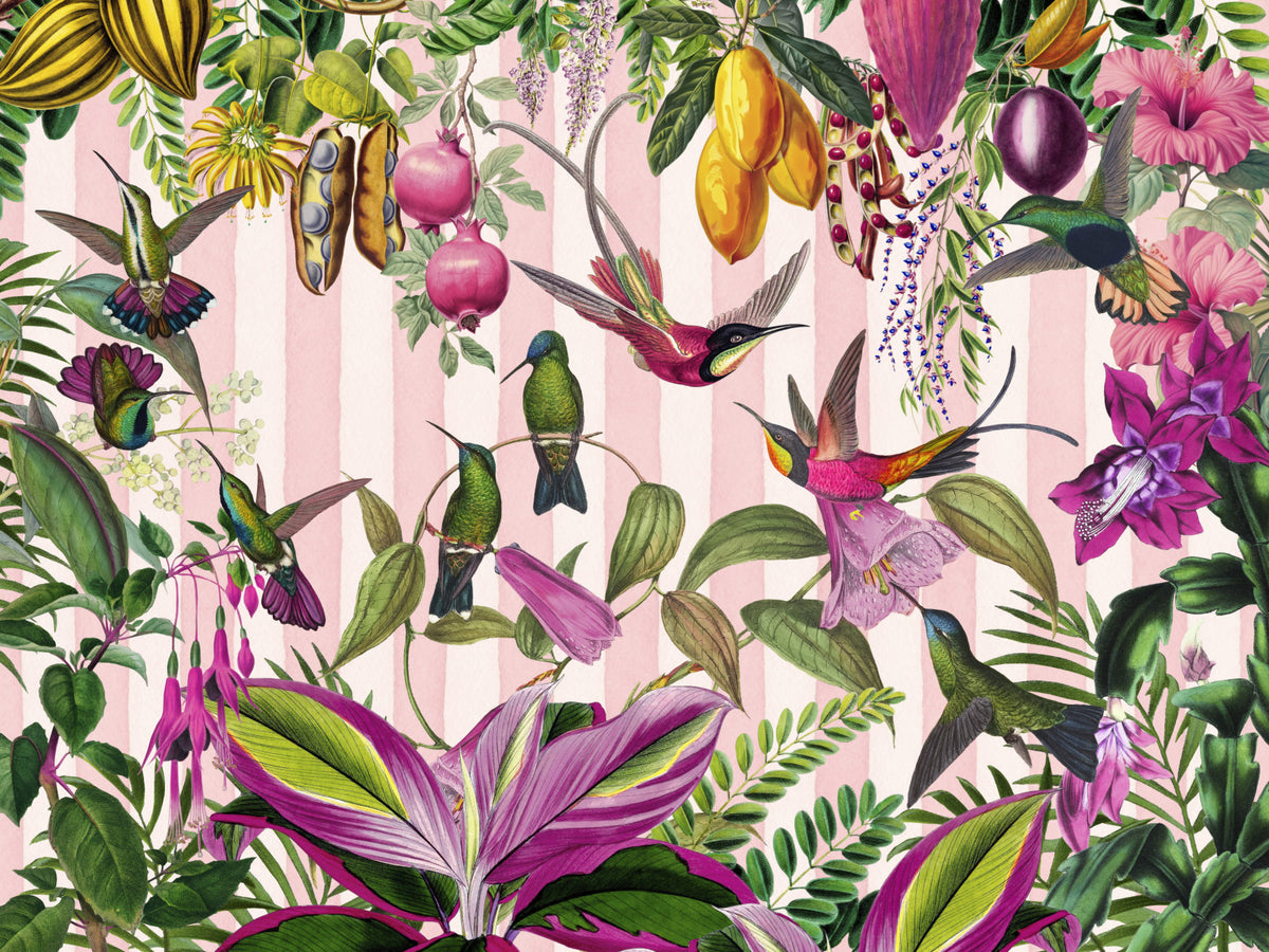 Hidden Exotic Hummingbird Paradise With Stripes Wall Mural in your room — zoomed