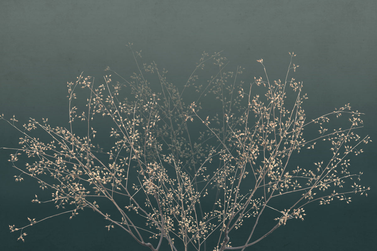 Ethereal Branching Wall Mural in your room — zoomed