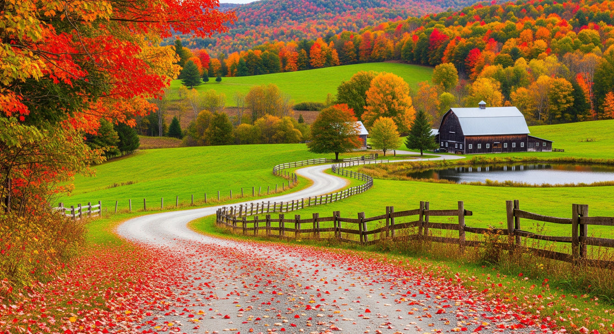 Autumn Road Serenity Wall Mural in your room