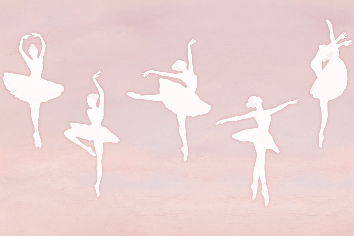 Pink Pirouettes Wall Mural in your room