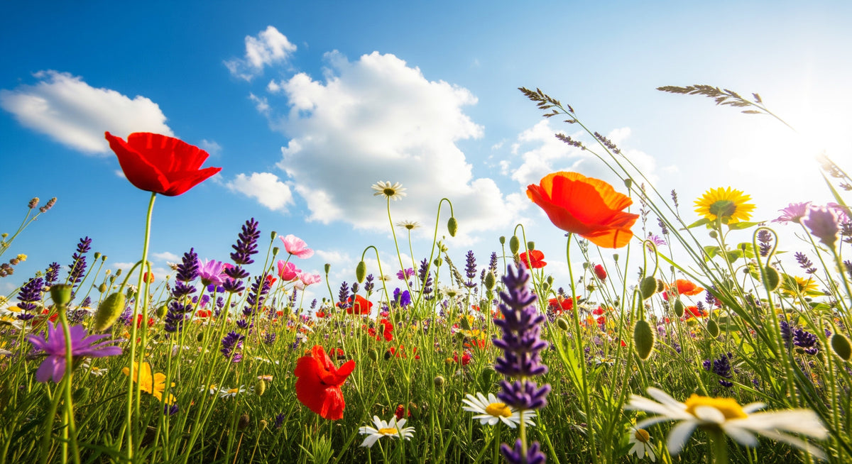 Meadow Dreams Wall Mural in your room