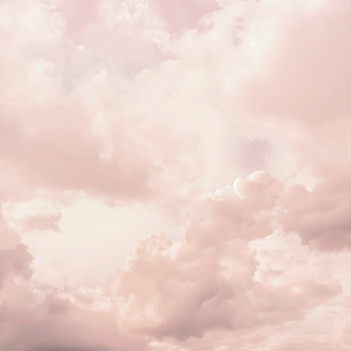 Pink Pastel Sky Dreamy Cloudscape Wall Mural in your room — zoomed