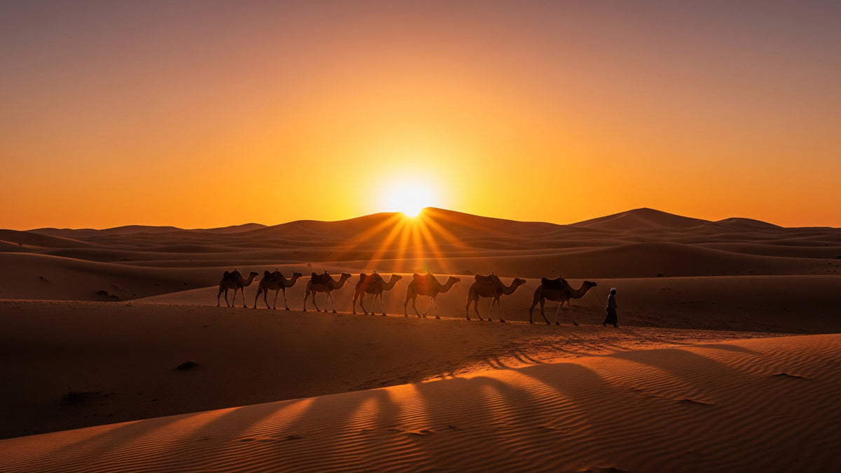 Desert Caravan Dawn Wall Mural in your room