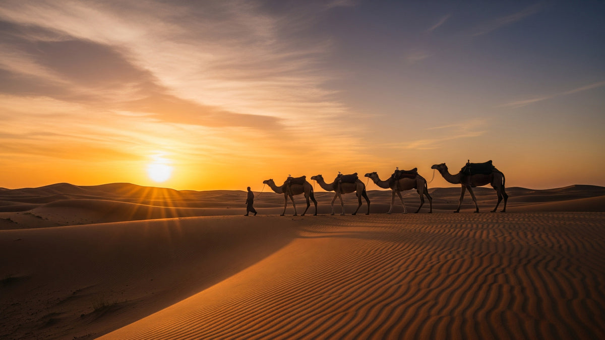 Desert Caravan Sunset Wall Mural in your room