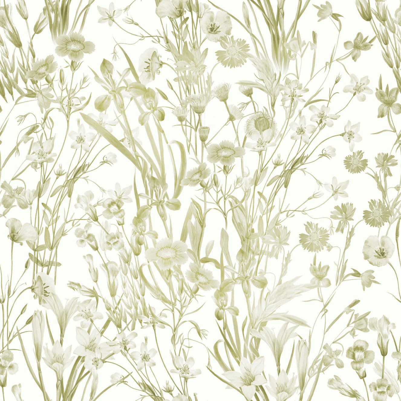 Summer Meadow Wallpaper⁠