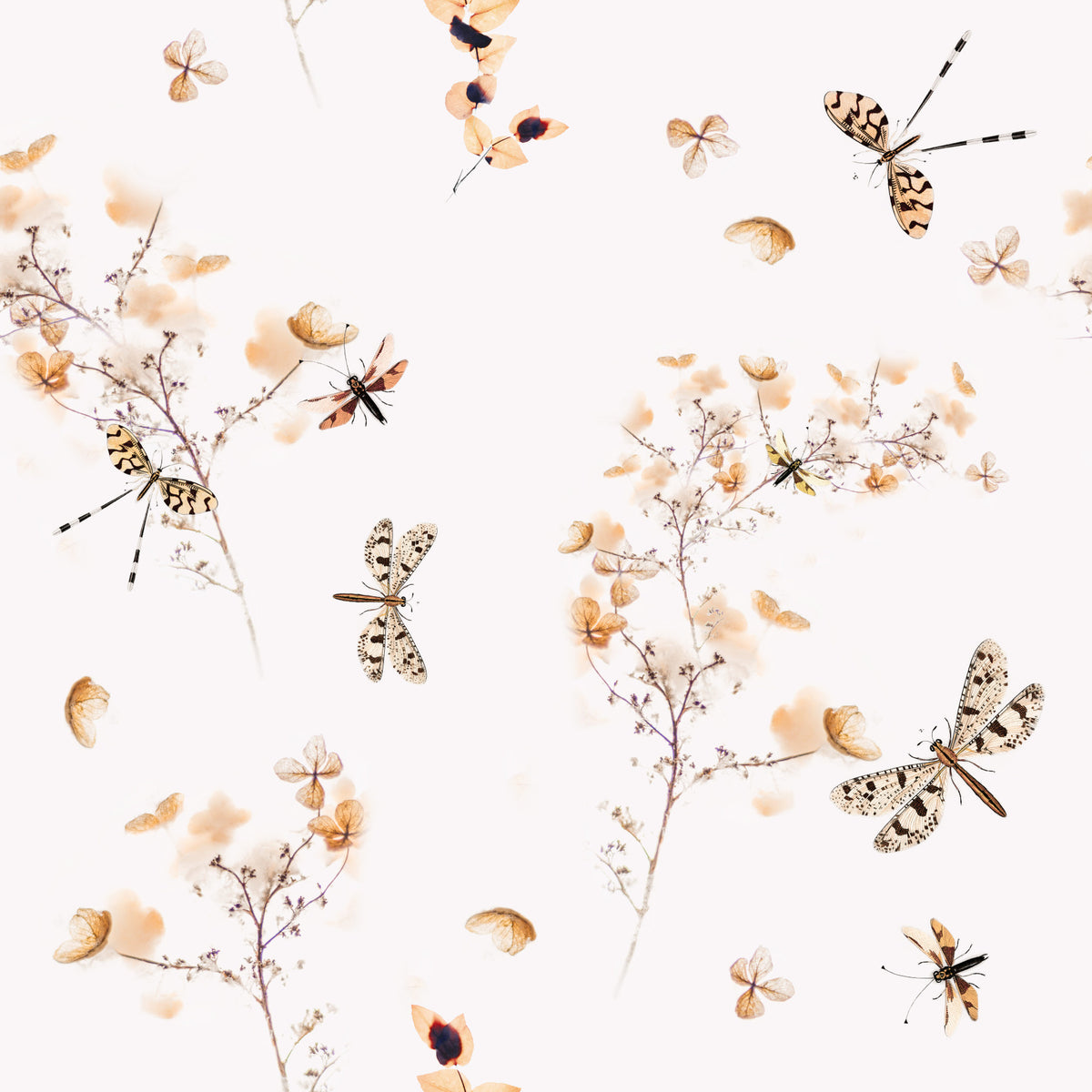 Dragonflies in Flowers Wallpaper⁠