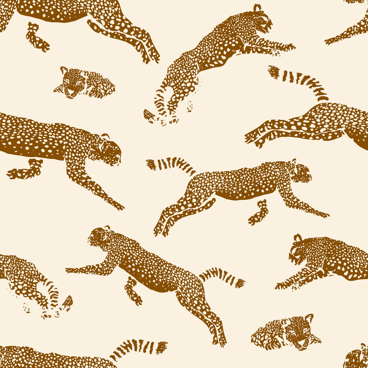 Leopards Wallpaper⁠ in your room
