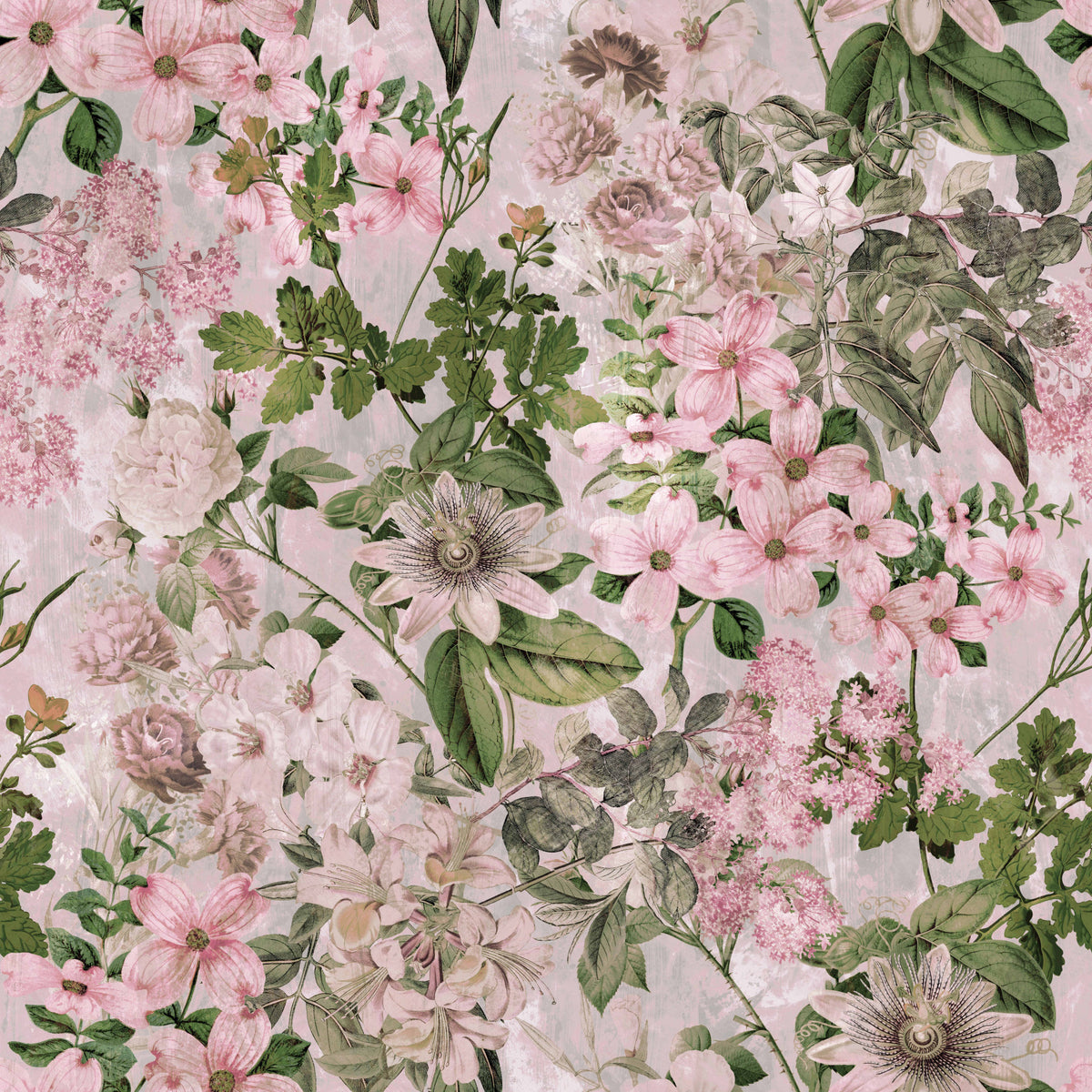 Pink Blossom Flowers Wallpaper⁠