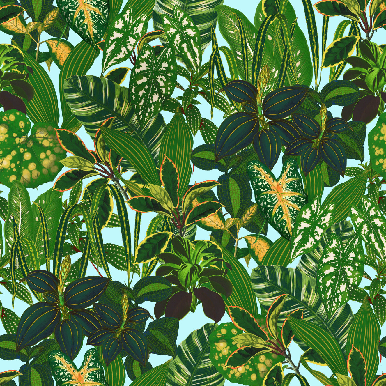 Green Tropical Plants Wallpaper⁠