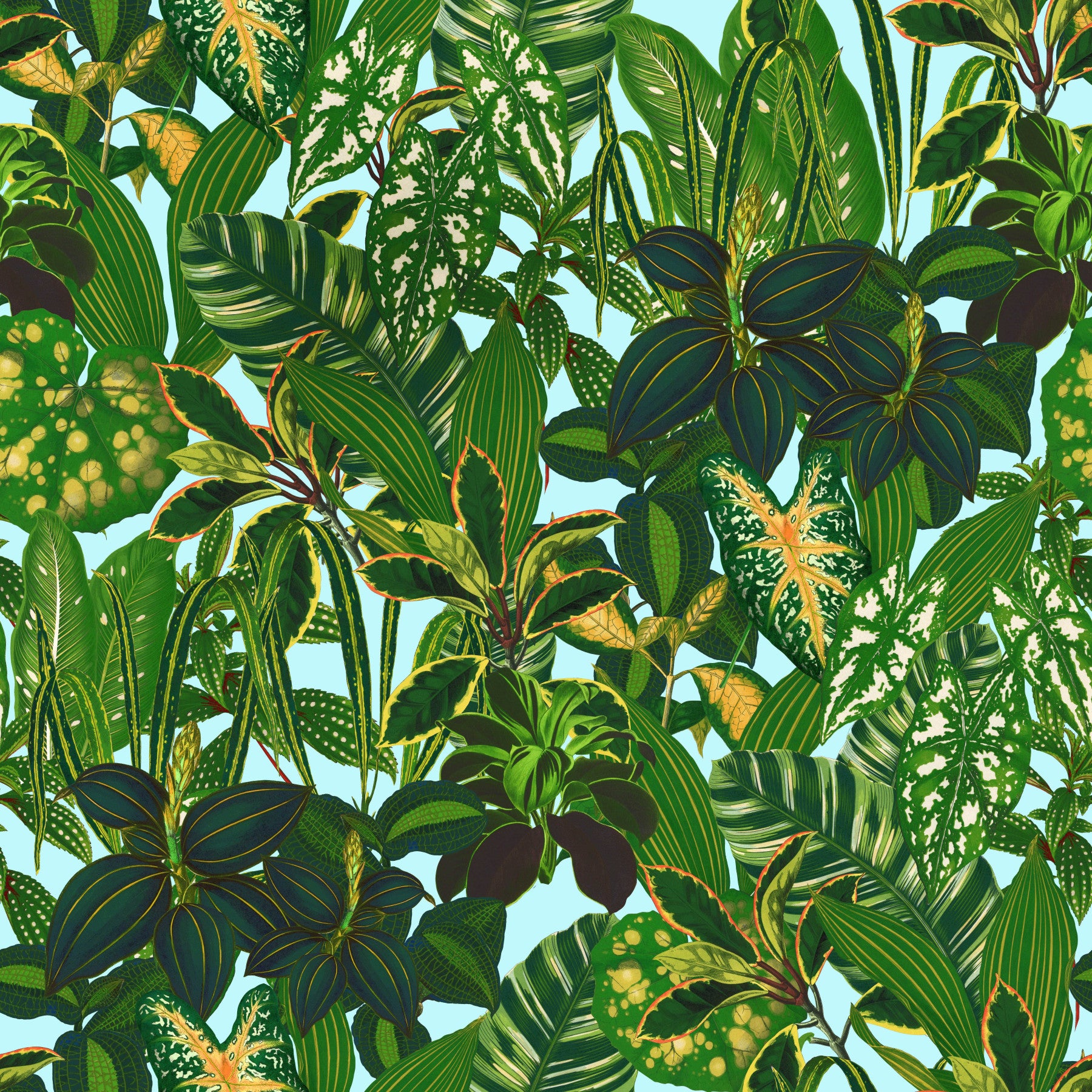 Green Tropical Plants Wallpaper⁠