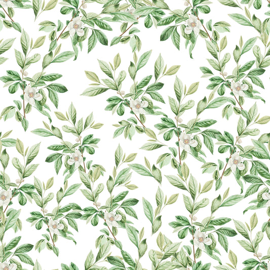 Spring Leaves  Wallpaper⁠