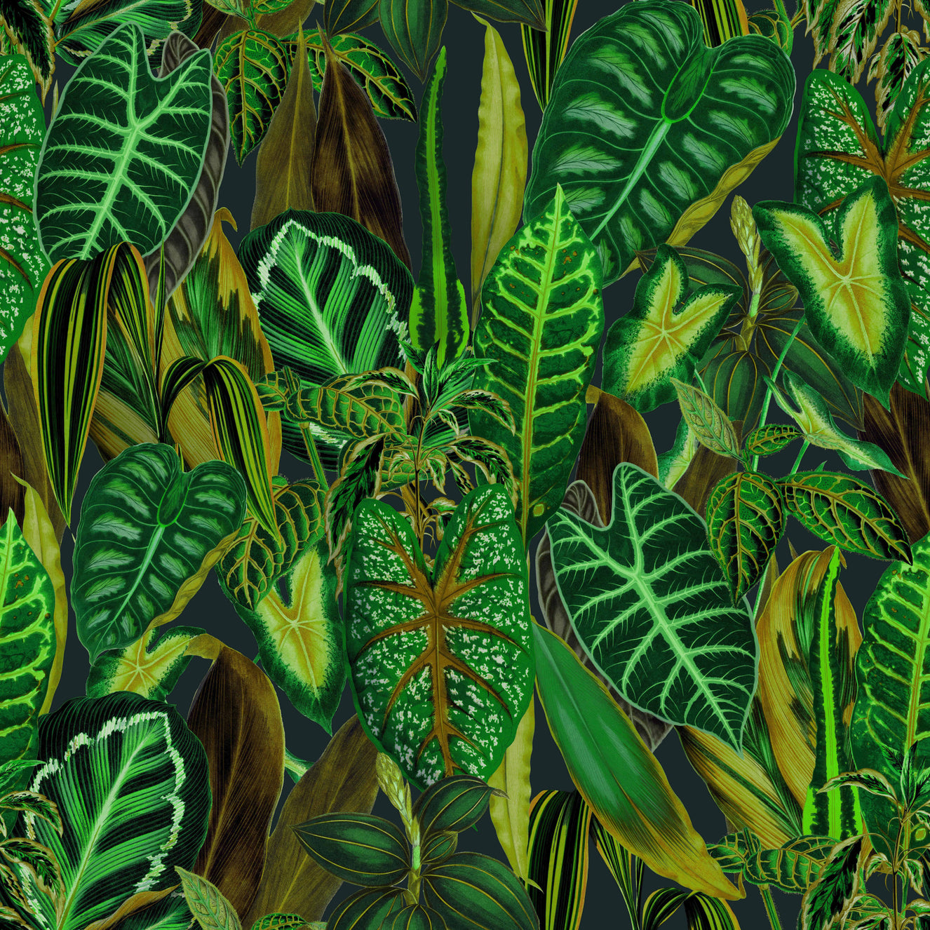 Green Exotic Foliage Wallpaper⁠