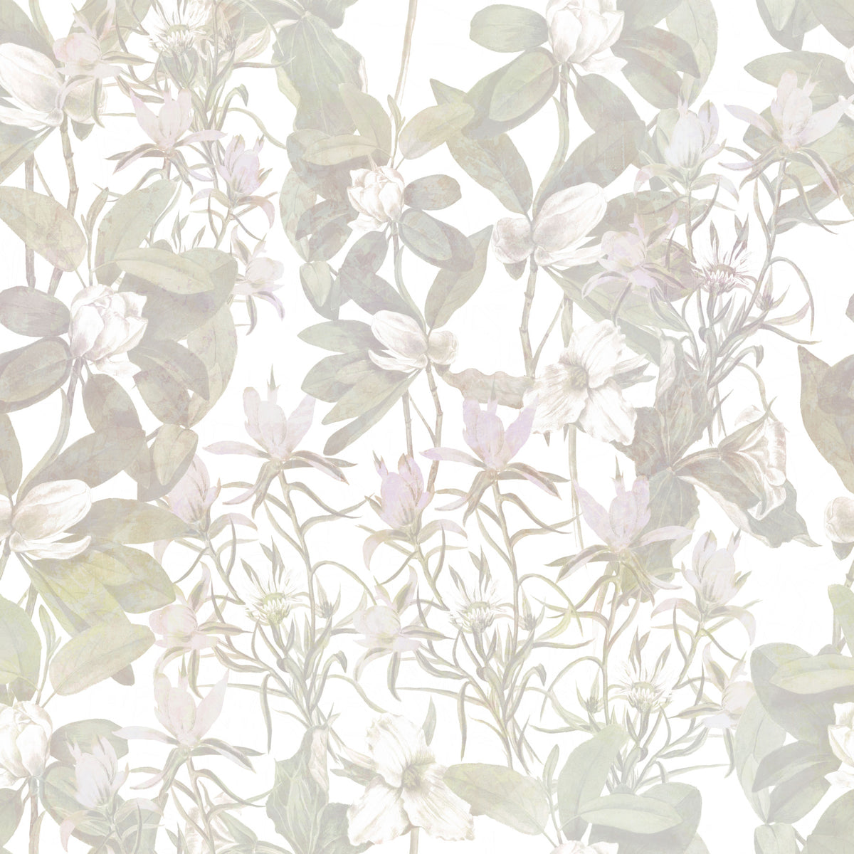 Ethereal Botany Wallpaper⁠