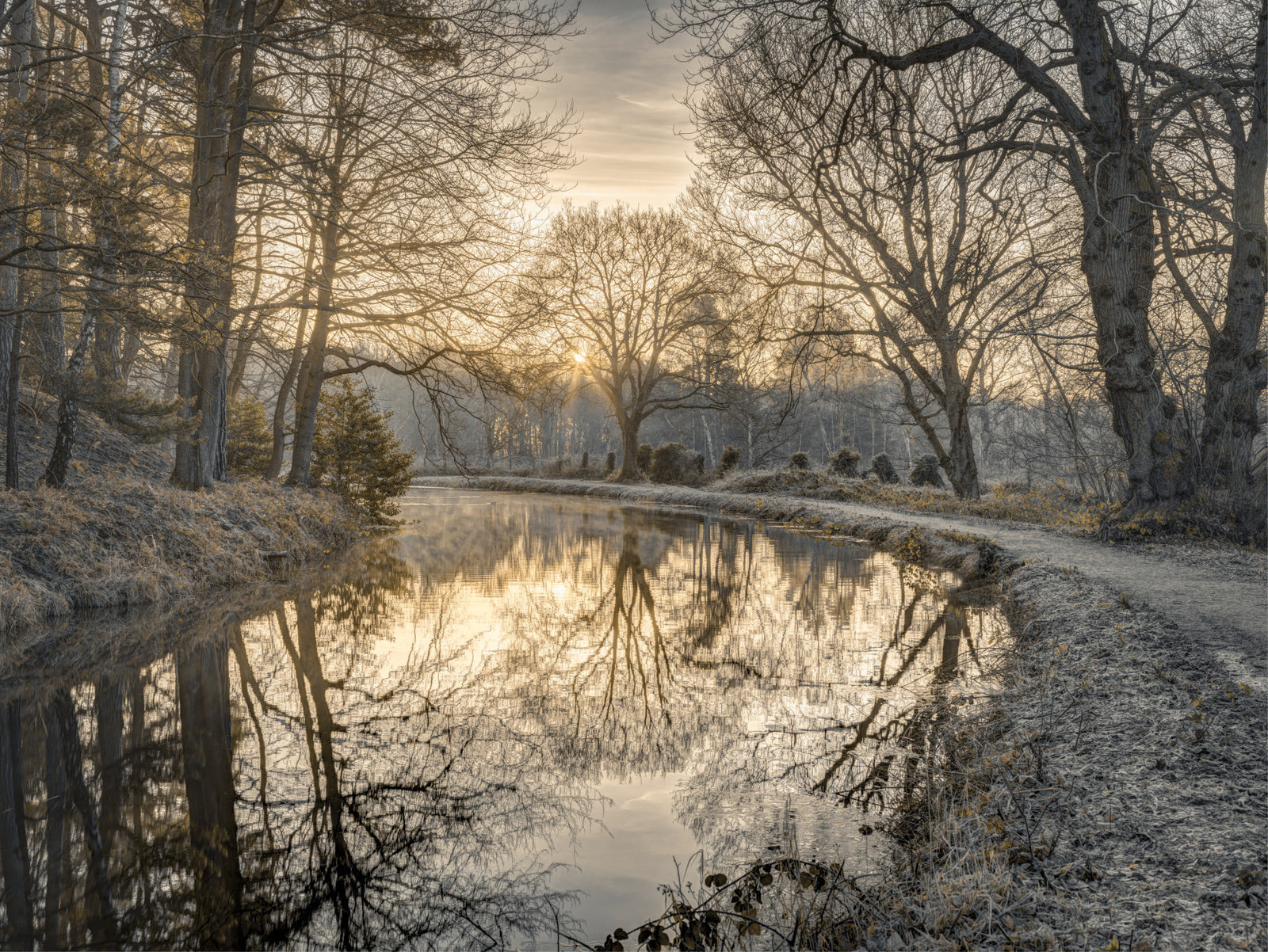 Frosty Morning Wall Mural
