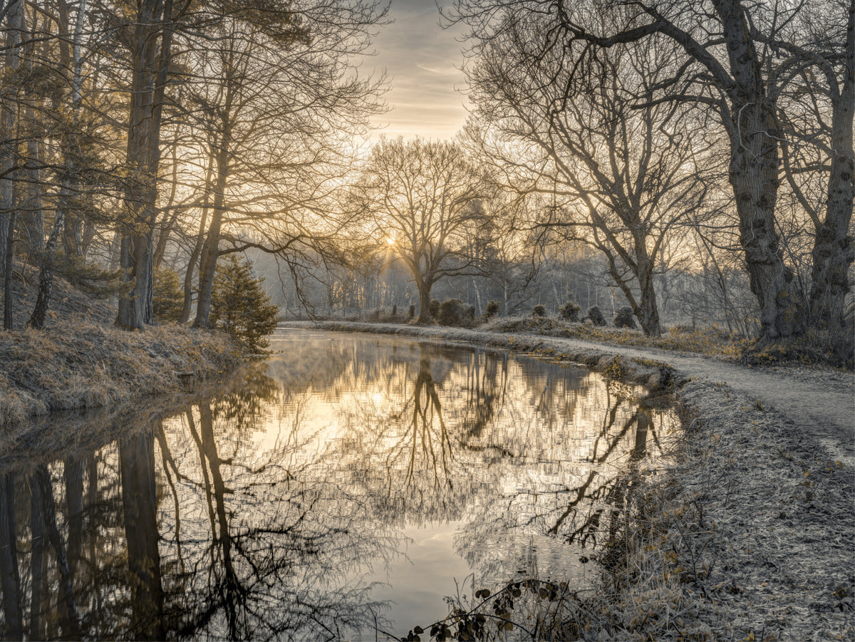 Frosty Morning Wall Mural