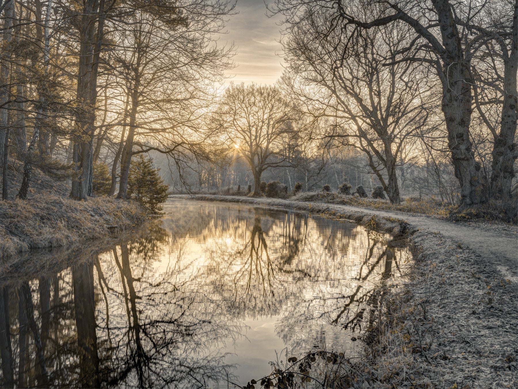 Frosty Morning Wall Mural in your room — zoomed