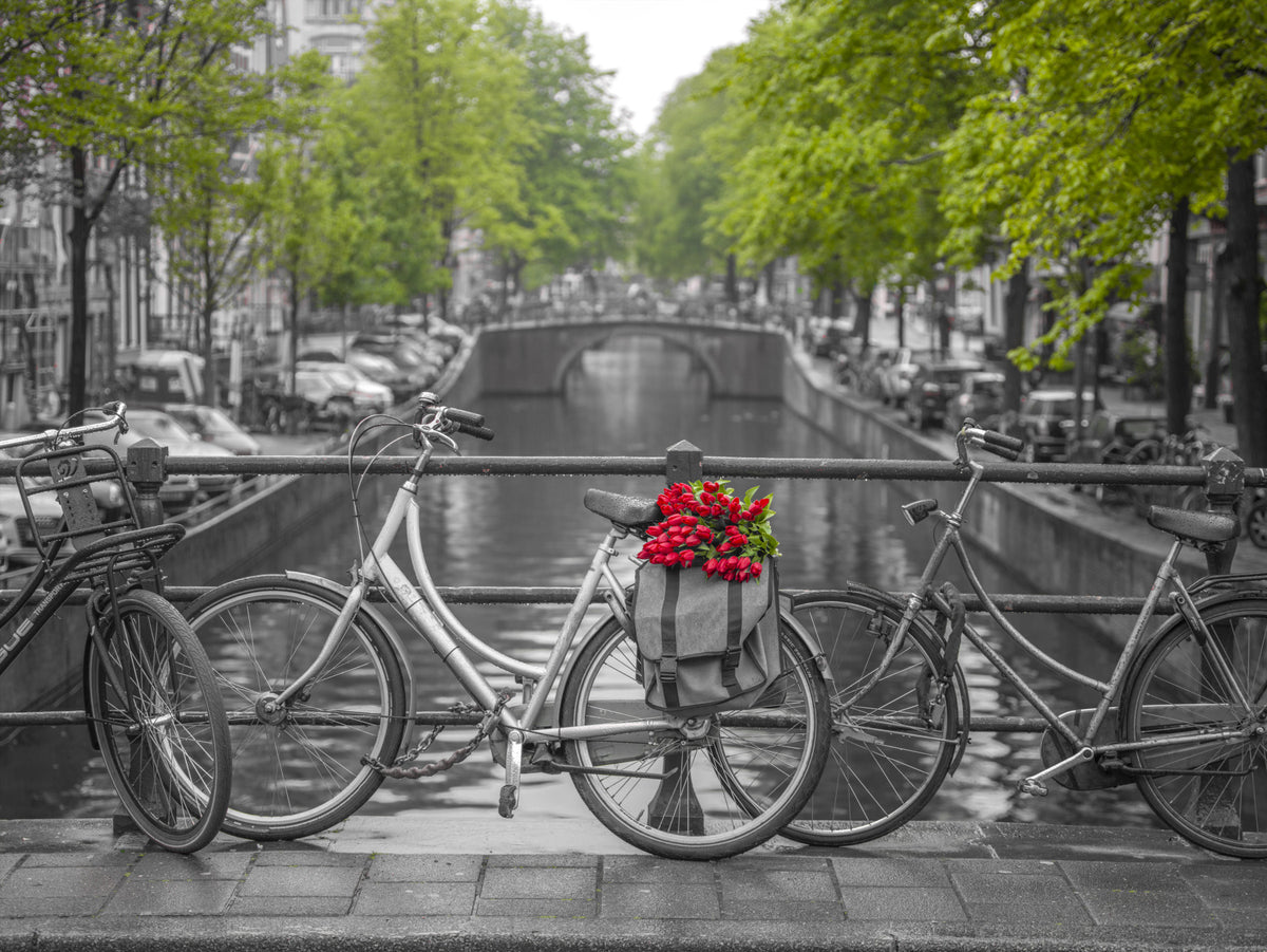 Quintessential Amsterdam Wall Mural in your room — zoomed