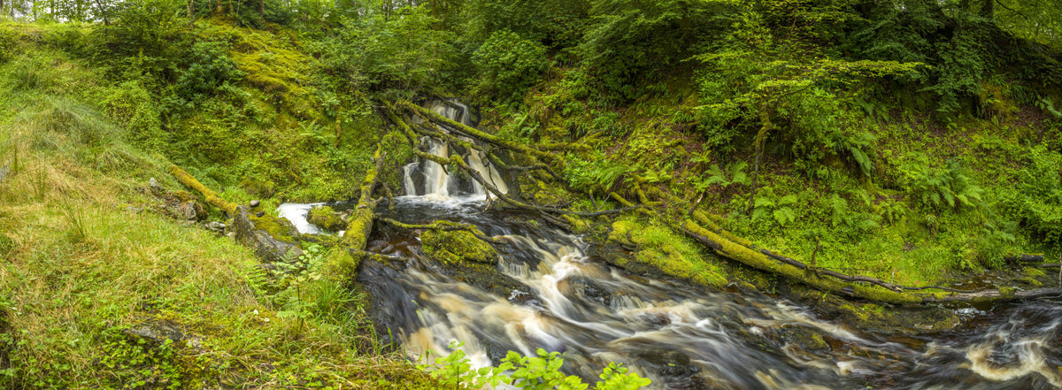 Mossy Falls Serenity Wall Mural in your room — zoomed